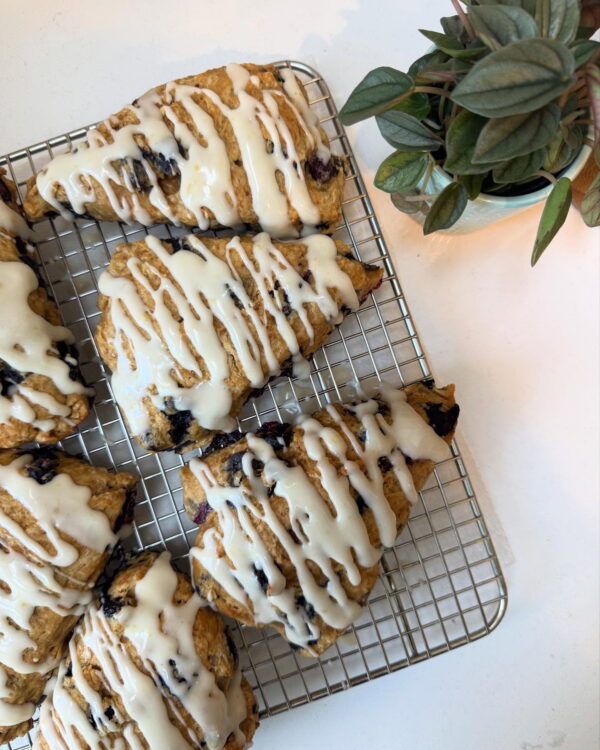 Lemon Blueberry Scone