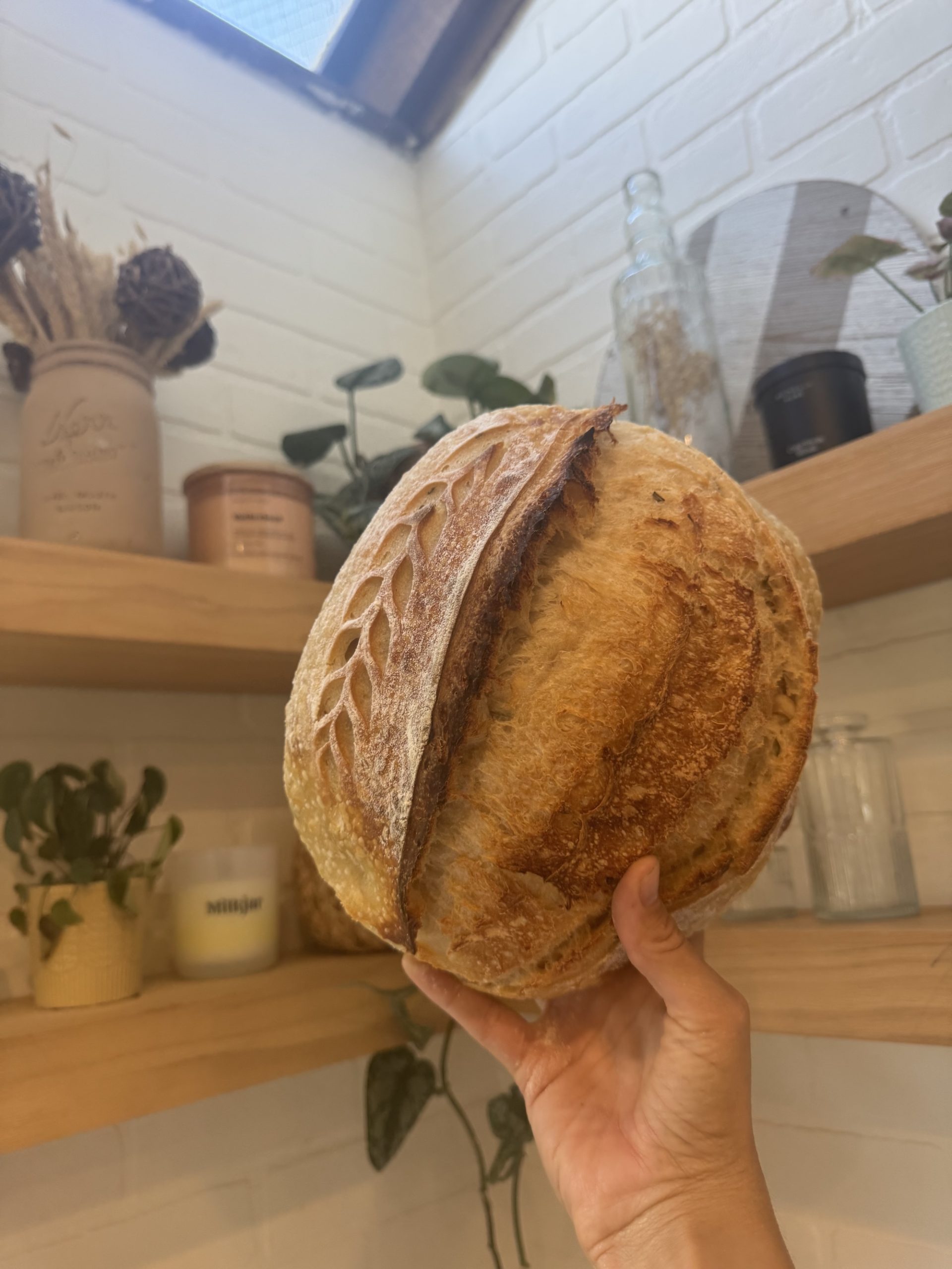 Parmesan Italian Herb Sourdough Loaf - Image 1