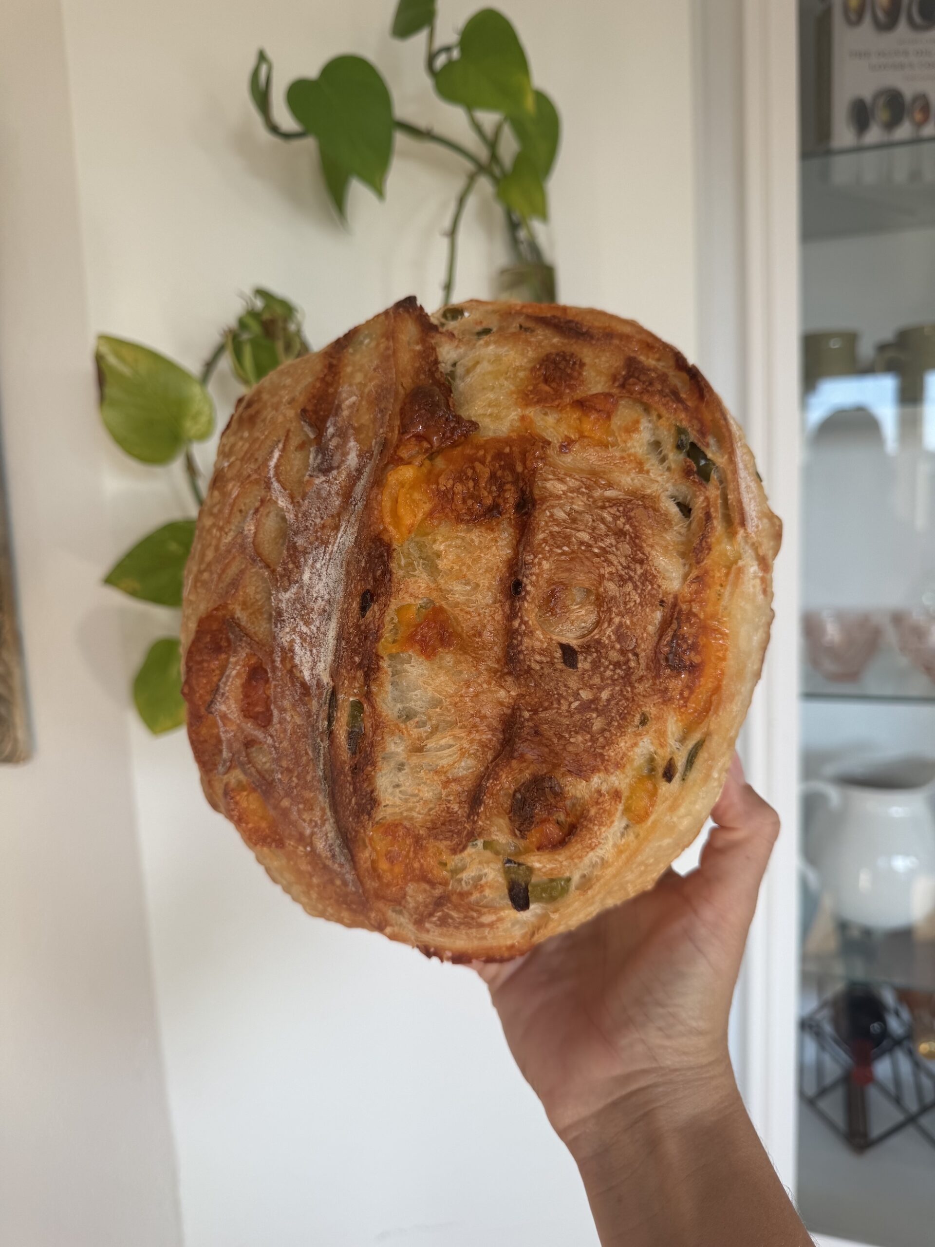 Jalapeño Cheddar Sourdough Loaf - Image 1