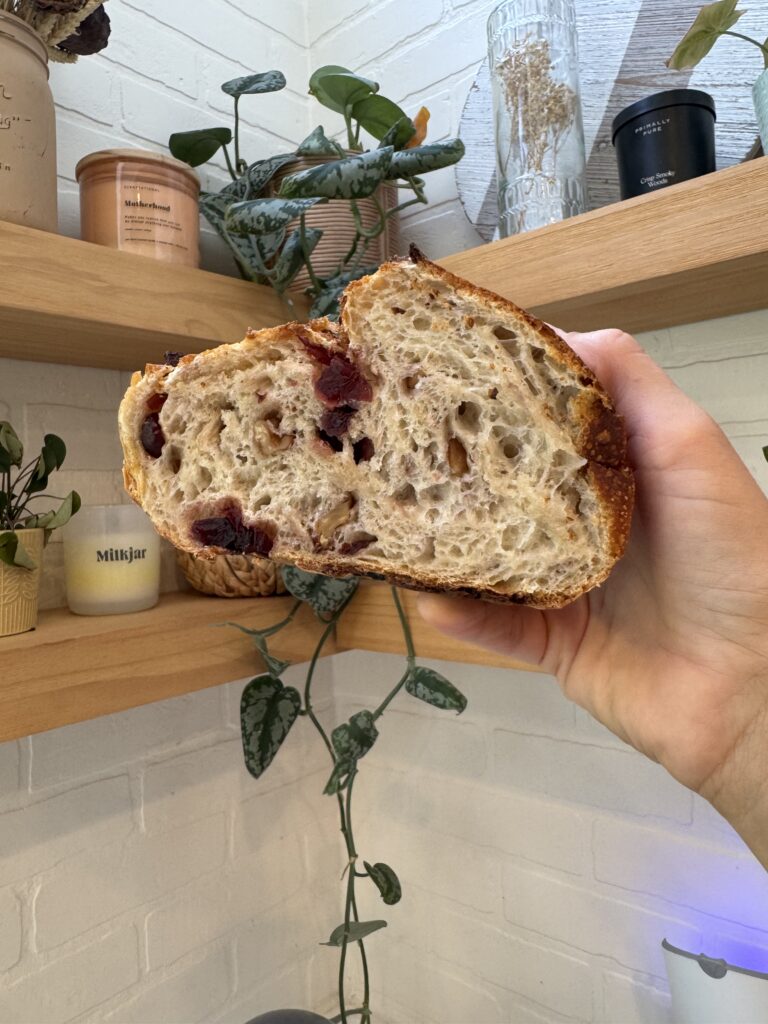 Cranberry Walnut Sourdough Loaf