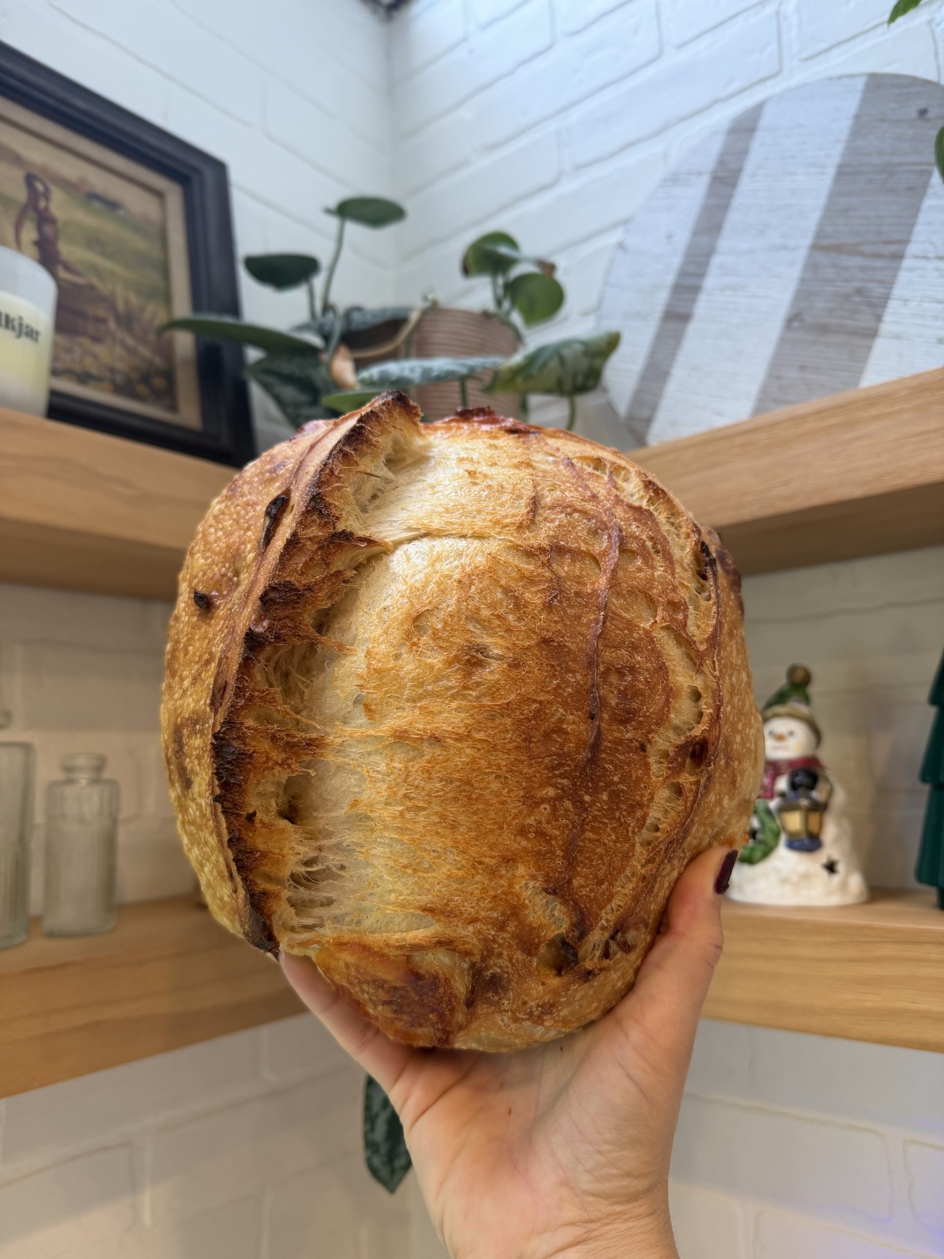 Caramelized Onion & Gruyere Sourdough Loaf - Image 1