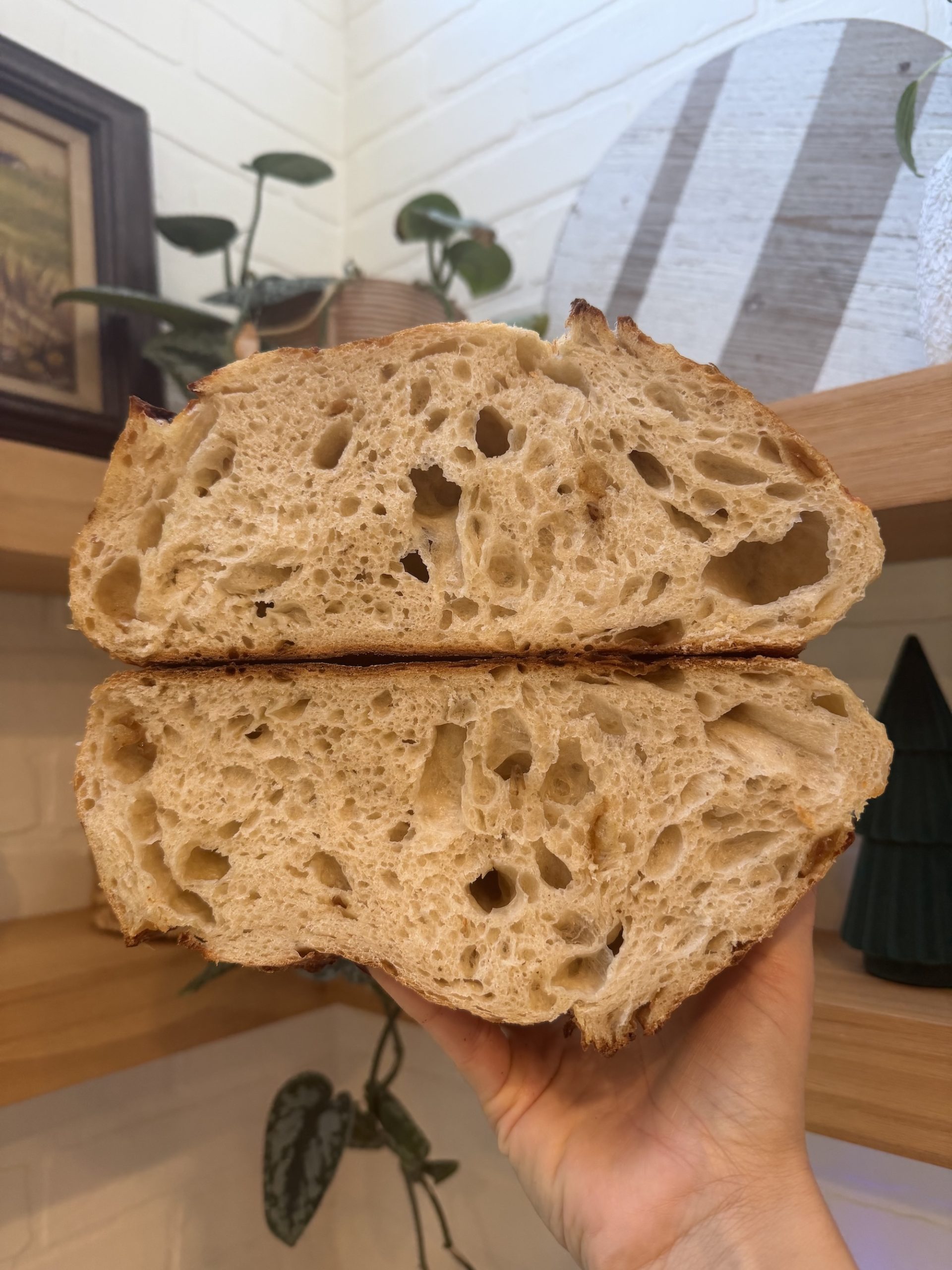 Caramelized Onion & Gruyere Sourdough Loaf - Image 2